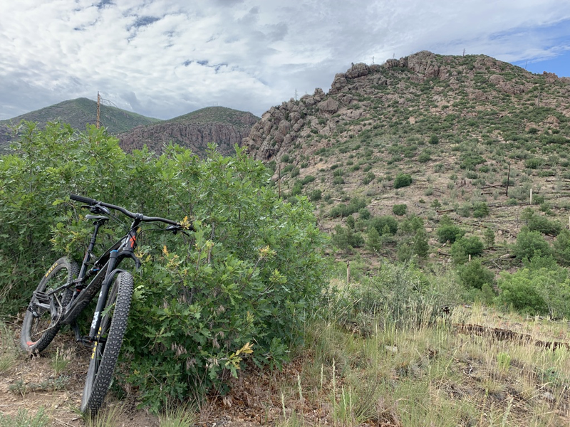 Illustration for article titled Just Impulse Bought Another Used Specialized on CL